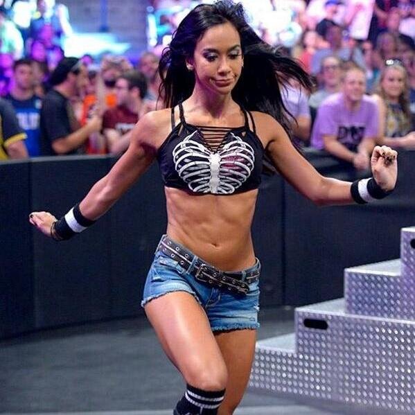CM Punk & AJ & The Shield & The Wyatt Family. ♫ He's got the whole world in his hands ♫