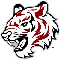 TigerFans.com(@TigerFans) 's Twitter Profile Photo