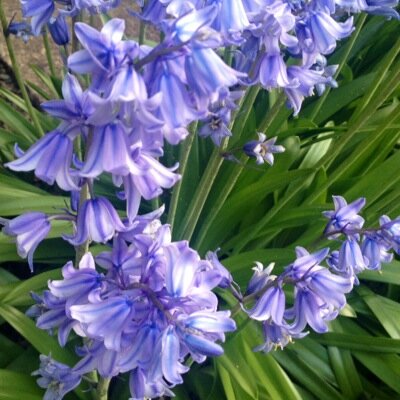 aforster3's profile picture. WBL Programme Leader for Hair Beauty and Retail