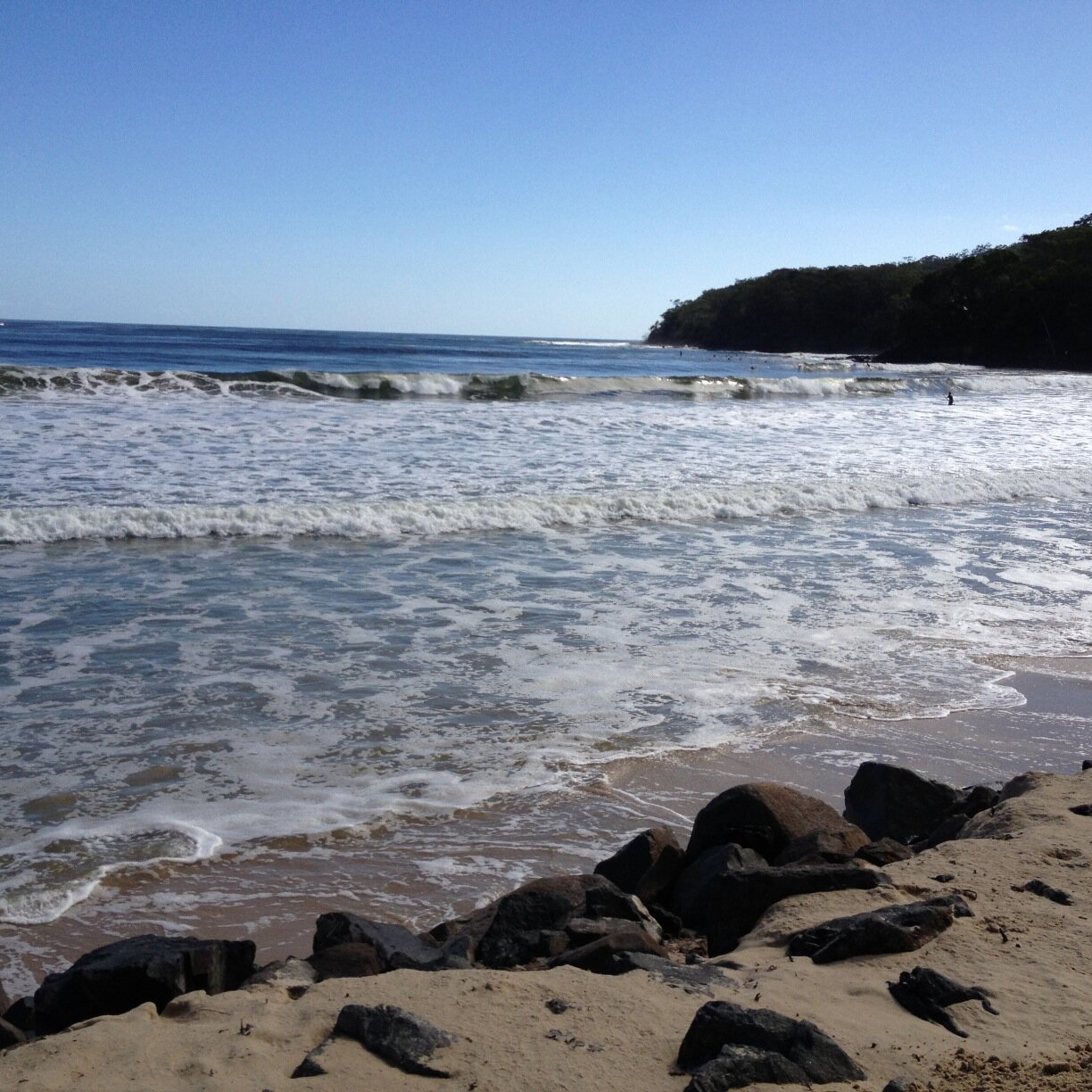 Natural Therapist; Writer of children and YA fiction, poetry….