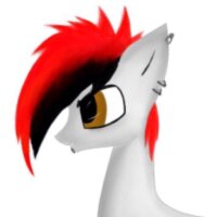 scratching records (@mlp_scratching) 's Twitter Profile