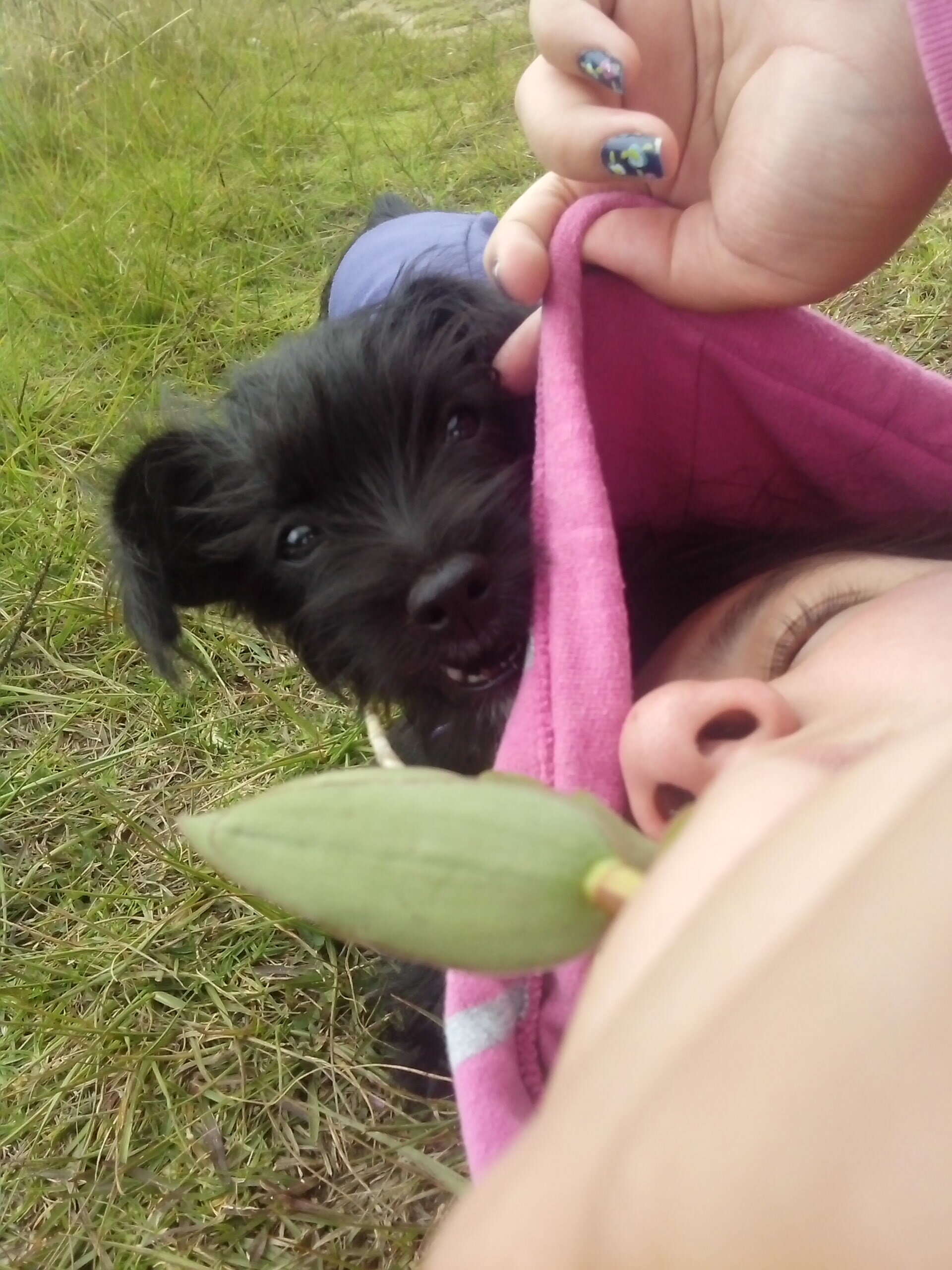 alejaMontaNa_'s profile picture. Un poquito acerca de mi: Me gustan los animales especialmente los gatos y los caballos, me fascinan los carros deportivos, los deportes extremos y jiu-jitsu.