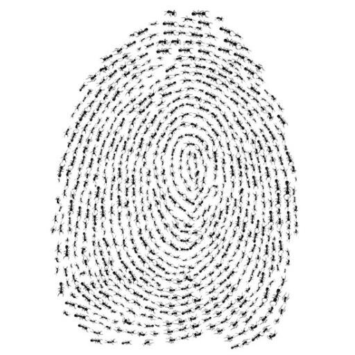 InternActional's profile picture. 