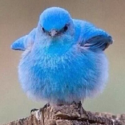 sommerg14's profile picture. 