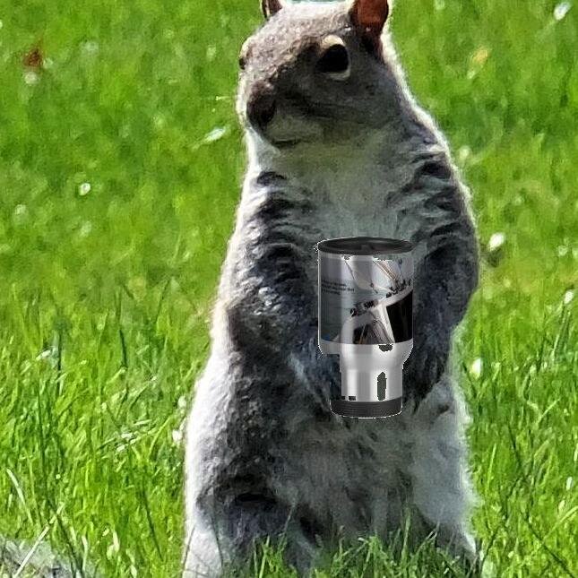 Tom Schuck, Brain Injury (surviving), Christian, Squirrel Painter, Squirrel Lover, Squirrel Story Teller