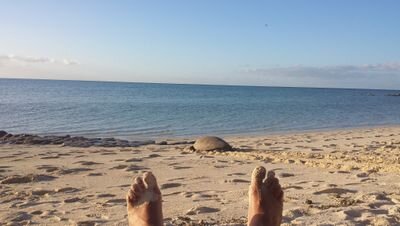 FreddyNucifora's profile picture. Director Education and Engagement - Great Barrier Reef Marine Park Authority.