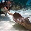 Professional Aquarium Cleaning & Services