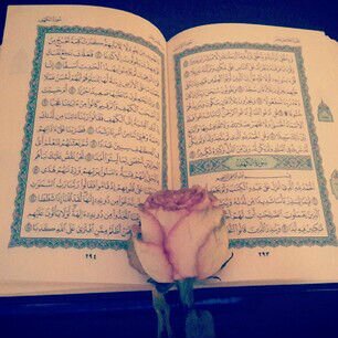 ذكرى قديمه غاب إلي رسمهاا              صدقة جاريه لخوي منيف لا تنسوآ منيف من الدعآء له ب الرحمه والمغفره وجميع المسلمين الاحيآء منهم والاموات ♡.