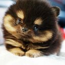 wanda marchand - @wkatrinam10 - Twitter