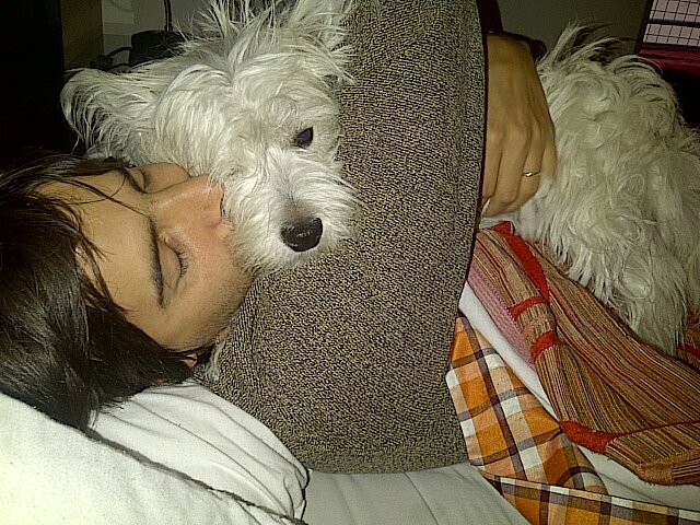 marcejiglesias's profile picture. 