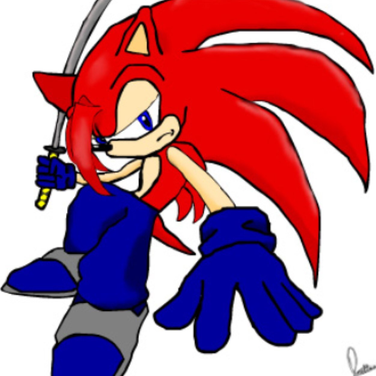 My name is Blade the Hedgehog. Live life to the fullest! #RP