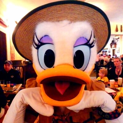 I❤️disney parks🏰haunted mansion👻ホテルご飯🍴trip✈️afternoon tea☕️| SUPER eight🖤|TJ🐯💙✨|チョコレート🍫可愛いものが好きなオトナ。ピントレ初心者🔰(ホンテピンがメイン)自己満足なごはん記録は#ももごはん。
