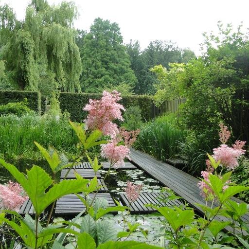 TuinenMienRuys's profile picture. An overview of garden architecture from 1924 to the present day. 30 inspirational gardens with experiments in design, plants and materials.