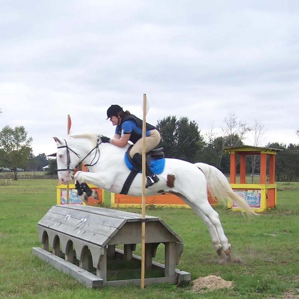 love my horses BoB my American Warmblood and Philip my OTTB absolutely love being an eventer (and obsessed with FOB)