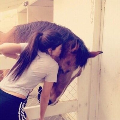 volg dit account voor de leukste tweets over paarden! ∞ since 12-9-'13