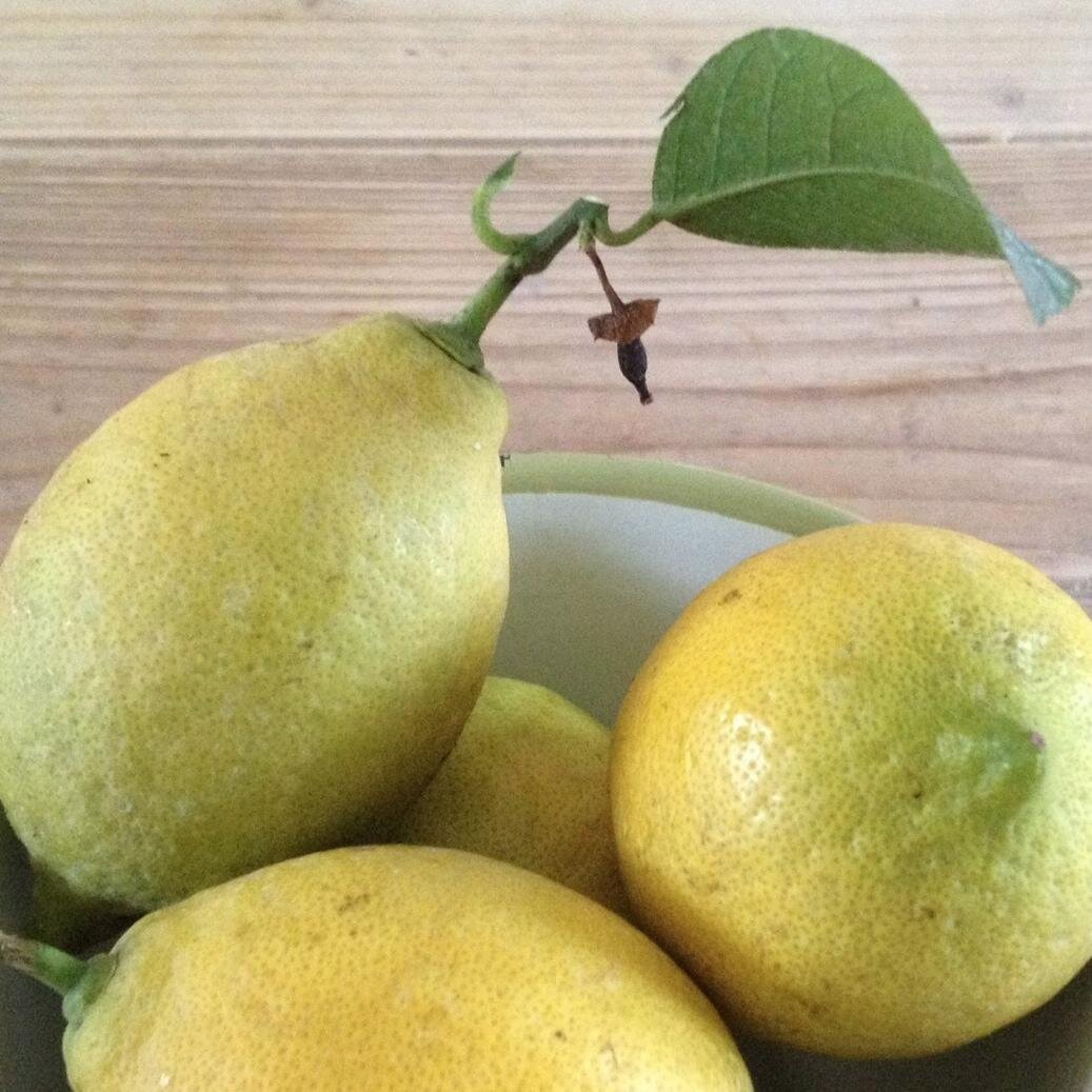 Caatensteyn's profile picture. Eigentijdse, hippe keuken. Invloeden uit alle landen. Kookt met 'onbekende' producten. Flex-vegetarisch en biologisch, eigen boomgaard en moes- en fruittuin.