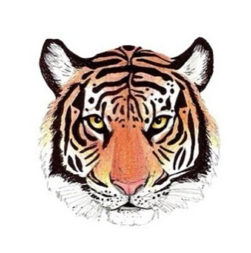 gabby_swift1d's profile picture. haters gonna hate, potatoes gonna potate.