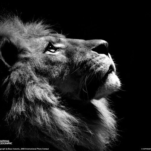 WebbyBabe's profile picture. Développeur web et dompteur de bugs 🐛 | JavaScript & React pour les jours productifs, débug pour les nuits agitées 🌙 | Toujours partant pour un défi tech