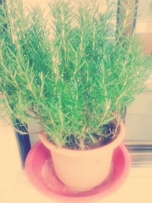 평생가자♥