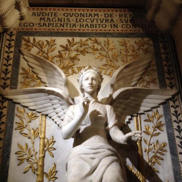 FelixBenjaminTR's profile picture. 