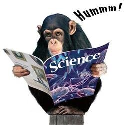 Tra realtà e fantascienza