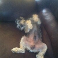 Stan Wells (@stanlot09) 's Twitter Profile