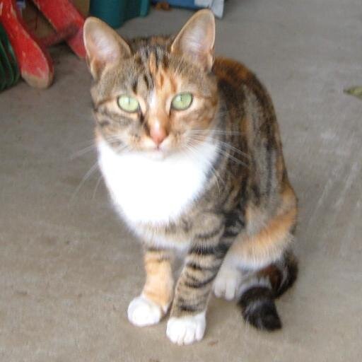 milkshake10958's profile picture. 