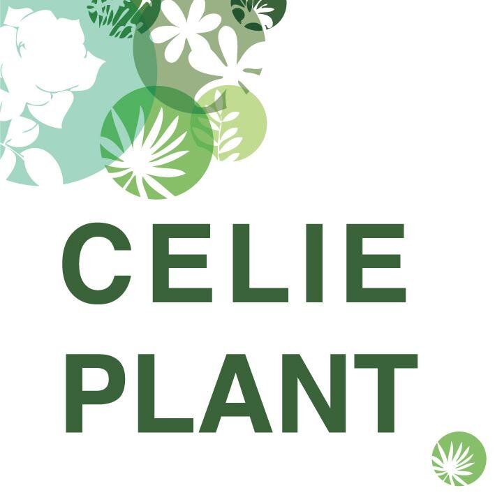 Your partner for plants in retail