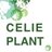 Celieplant's profile image