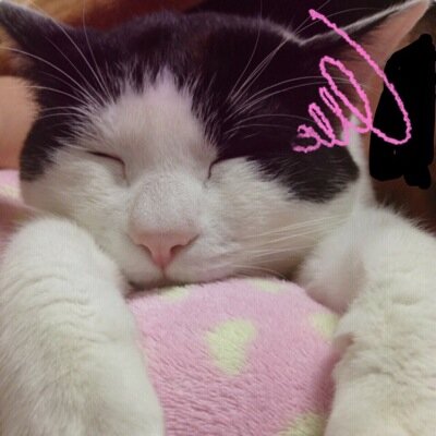 ためになる情報をジャンルレスで発信していきます。使えるーと思ったらRTプリーズ♡