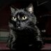 José Ignacio (@joseignacioji) Twitter profile photo