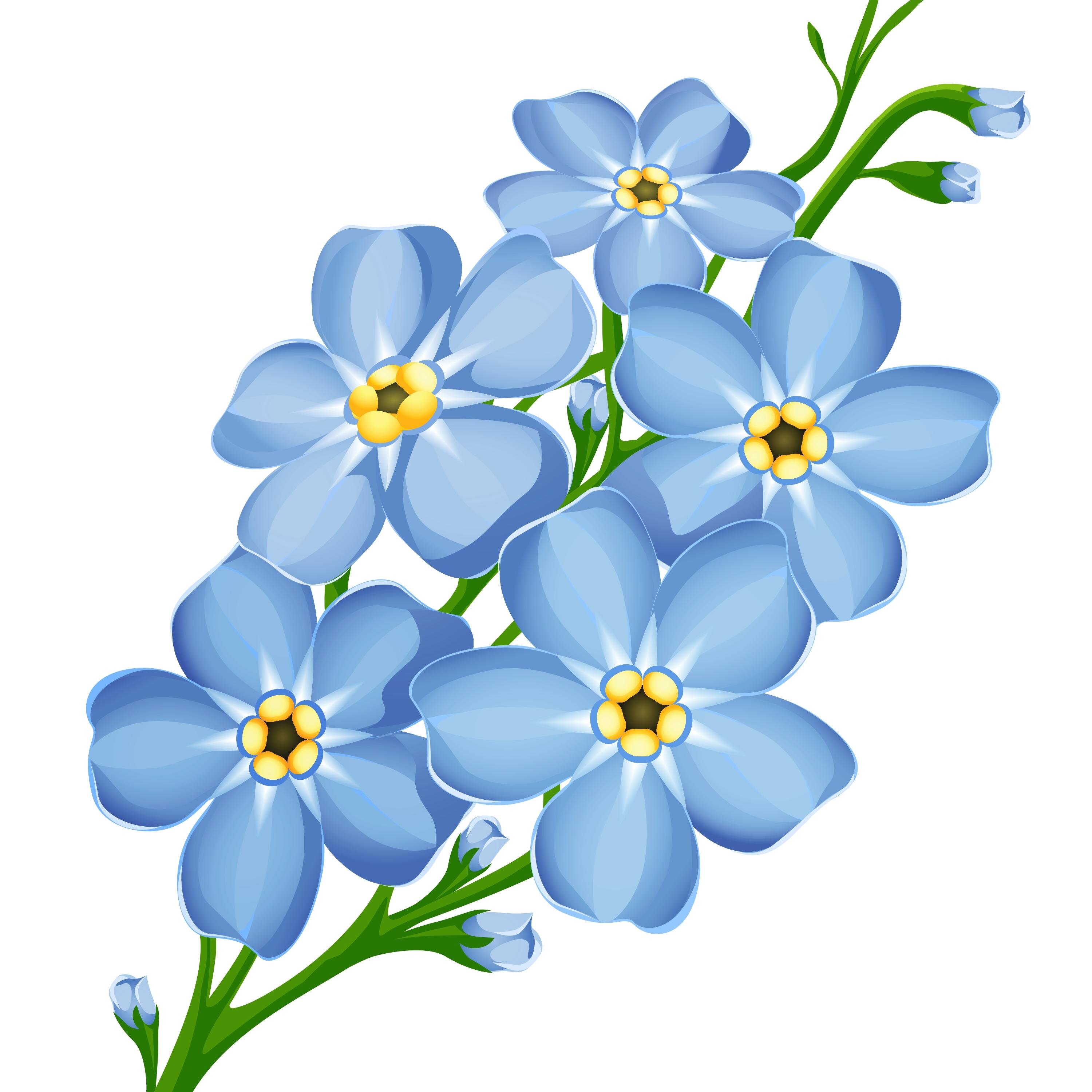 Florist - Flowers, Plants, Gifts
