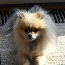 Eileen Pate - @evpate - Twitter