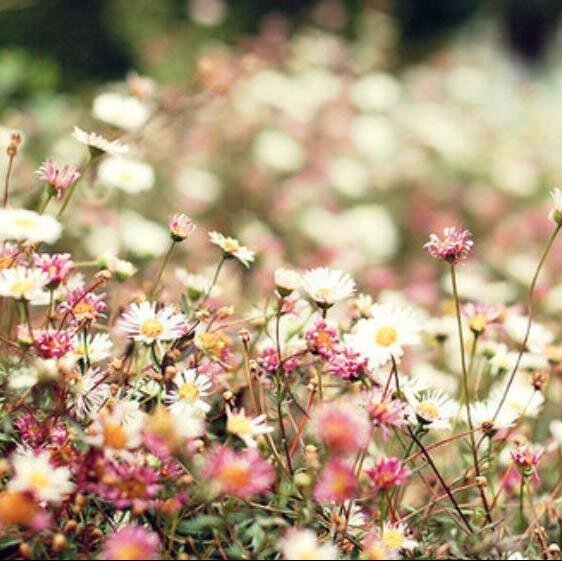 kayuya67622's profile picture. 趣味お菓子作り　美味しいお菓子をご紹介します