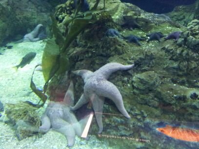 agvera72's profile picture. 