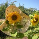 Sonja Jonsson Brandt - @ajnosjb - Twitter