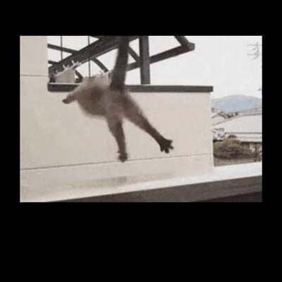 TommyGuild's profile picture. Look at my photo and just laugh