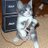 tuco_wallach's profile image