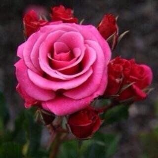 @Mt_No5: http://t.co/fWGkZmz6ws