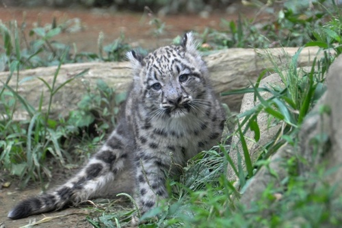 sumi_est's profile picture. 週2〜3回テニス🎾をやっています 。もっと上手くなりたいけど‥