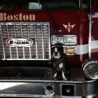 Christopher Sullivan (@cjsullivan08) 's Twitter Profile Photo