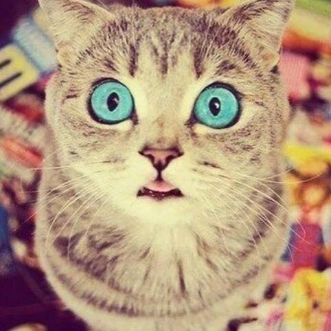 gabibatistasoar's profile picture. 