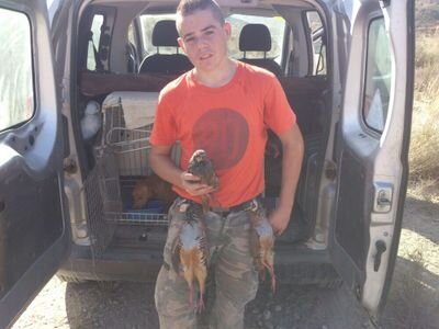 alexis27472279's profile picture. 