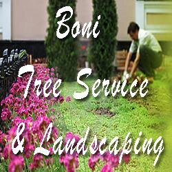 We provide professional tree services and landscaping.