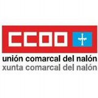 CCOO Nalón(@CCOONalon) 's Twitter Profileg