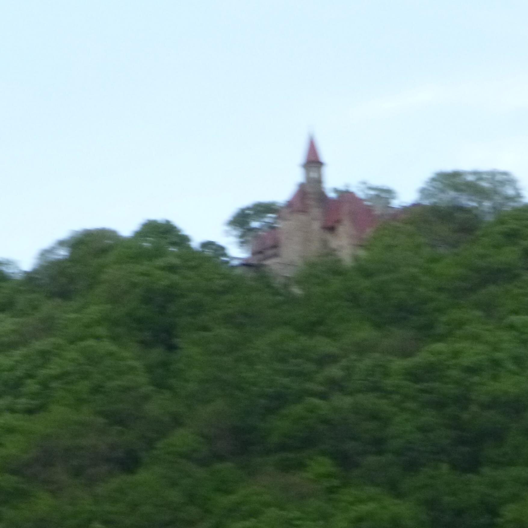 LorianneMann1's profile picture. mom and grandmom.loves animals and food.