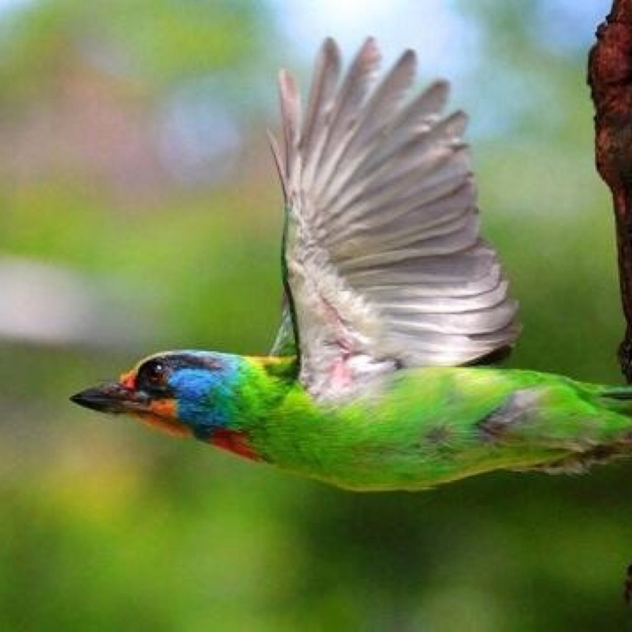 Alaa_Alqarni's profile picture. (وأن ليس للإنسان إلا ماسعى) رُبّيت عليها واتخذتها منهاج حياة .