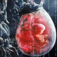 iRefusenik's profile picture. 