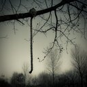 jamie ashley - @jamieashley561 - Twitter