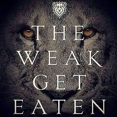 #WOLFWEAR #FEEDTHEWOLF #WWGYMWEAR #WOLFWEARFITNESS BASED: CHESTER